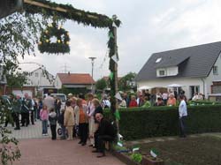 IMG_4461.jpg