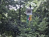 SDC10119.JPG