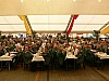 P1070419.jpg
