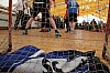 Thumbnail of IMG_1537.JPG